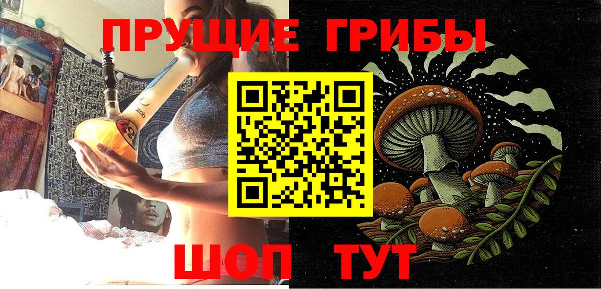 Кызыл  Галлюциногенные грибы MAGIC MUSHROOMS  Вход с VPN 